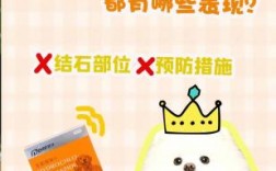狗结石尿血咋办？科学方法帮你解决！