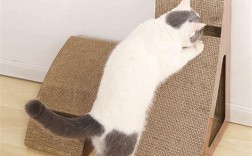 猫抓板怎么放猫薄荷