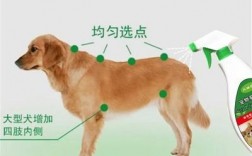 如何正确使用狗狗驱虫外用药