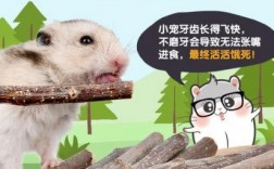 仓鼠磨牙用筷子安全吗