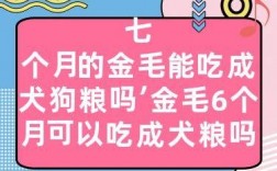 6个月狗能吃成犬粮吗