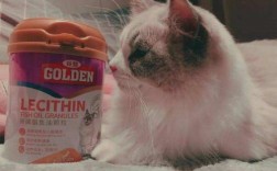 猫咪鱼油一周喂多少