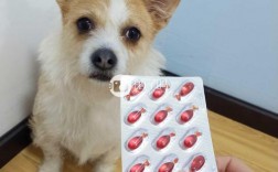 鱼肝油喂了狗的好处