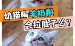 幼猫喝羊奶后拉稀多久能好