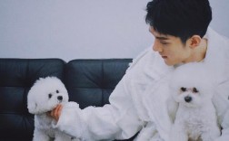 李佳琦家的狗是什么狗