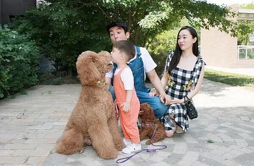 杜江的狗狗是什么狗-图1