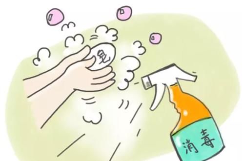 有猫癣的房间怎么消毒-图1