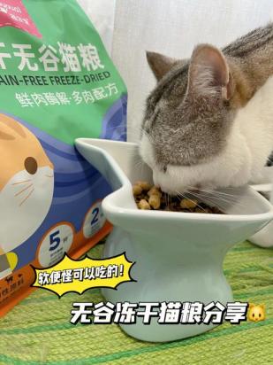 只给猫吃猫粮可以吗-图2
