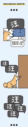 狗狗独自在家，就会焦躁不安？小心它得了“精神病”！-图1