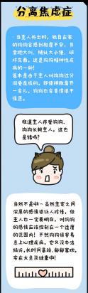 狗狗独自在家，就会焦躁不安？小心它得了“精神病”！-图3