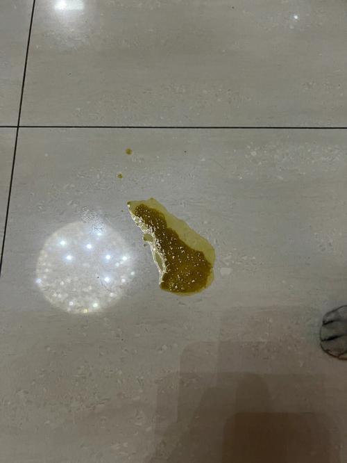 猫咪吐黄色粘稠物是怎么回事-图1