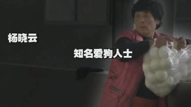 爱狗人士杨晓芸判刑