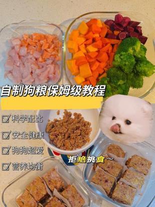 怎么自制狗粮卖-图1