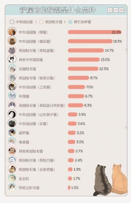 最受国人欢迎的猫咪排行榜-图1