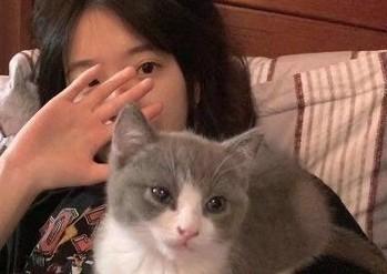 把猫比喻女人-图1