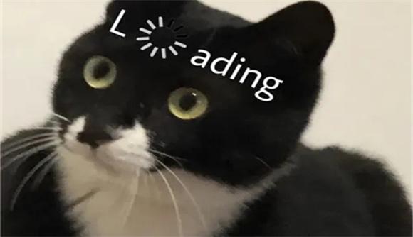 黑色猫猫头表情包-图1