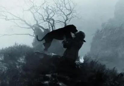 巴斯克维尔猎犬人物关系-图1