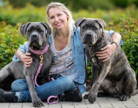 女生适合养的护卫犬有哪些品种-图1