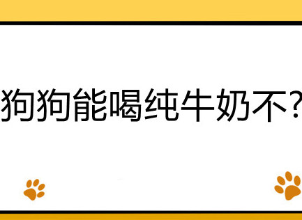 狗狗能喝纯牛奶不-图1