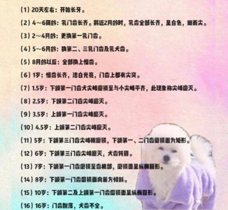 狗狗牙齿图解-图1