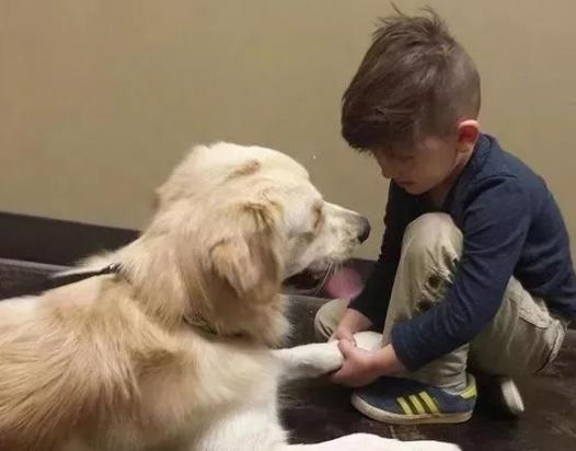 狗狗看孩子累吗？-图1