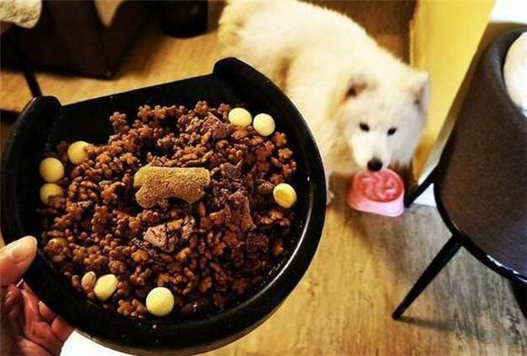 狗粮是什么东西？-图1