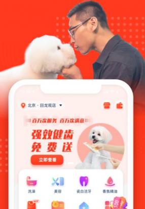 有没有养狗的app-图1