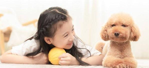 宠物狗对小孩子有影响吗-图1