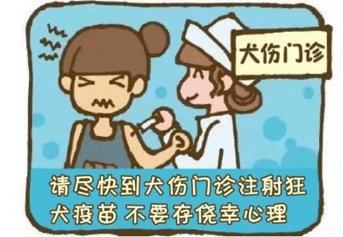 10种情况不需要打狂犬疫苗-图1