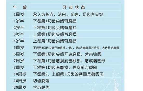 怎么判断狗的年龄?-图1