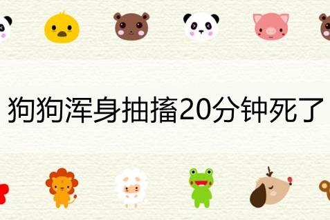 狗狗浑身抽搐20分钟死了-图1