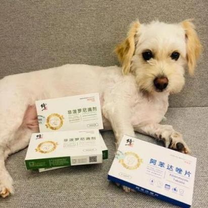 幼犬第一次驱虫用什么药最好-图1