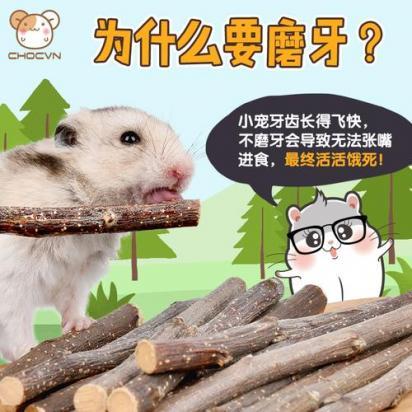 仓鼠磨牙可以用筷子吗