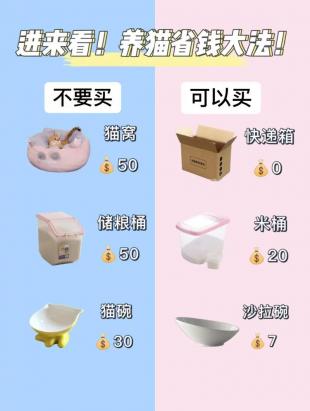 养猫新手需要准备的物品有哪些
