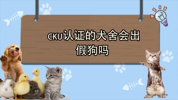 cku认证的犬舍会出假狗吗-图1