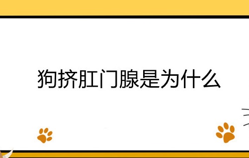 狗挤肛门腺是为什么-图1