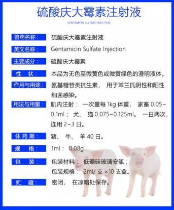 10斤狗狗庆大霉素用量