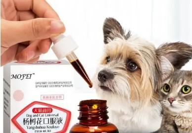 狗狗拉稀带血吃什么药效果好