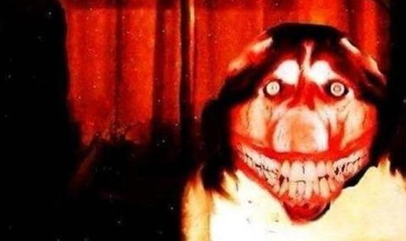 5秒吓死人的照片微笑狗-图1