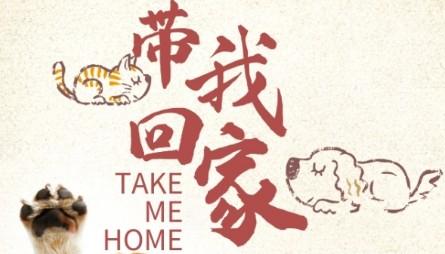 狗狗领养条件是什么-图1