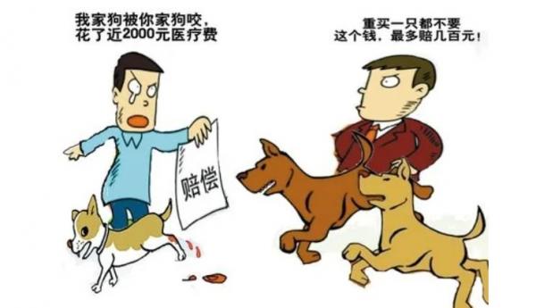 狗咬狗最详细的赔偿-图1