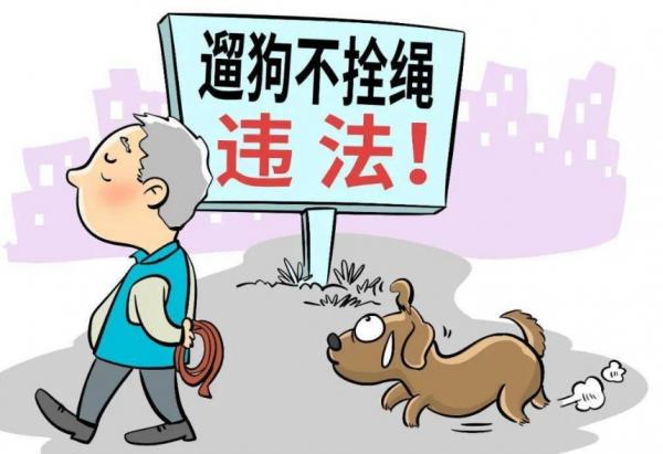 12369受理遛狗不拴绳-图1