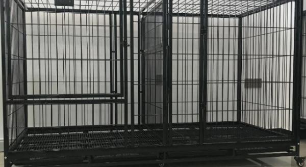 狗笼放在哪里旺财