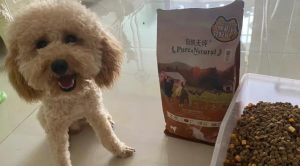 换狗粮后狗狗拉稀怎么办