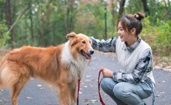 养狗的语录