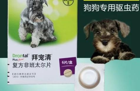 狗狗吃了拜耳5个小时就吐了
