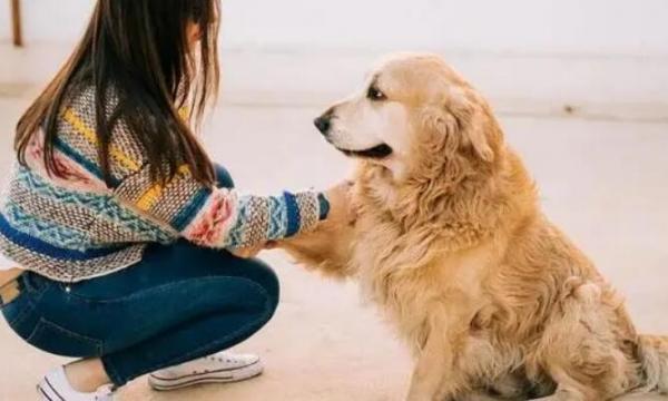 狗狗为什么喜欢女孩呢-图1