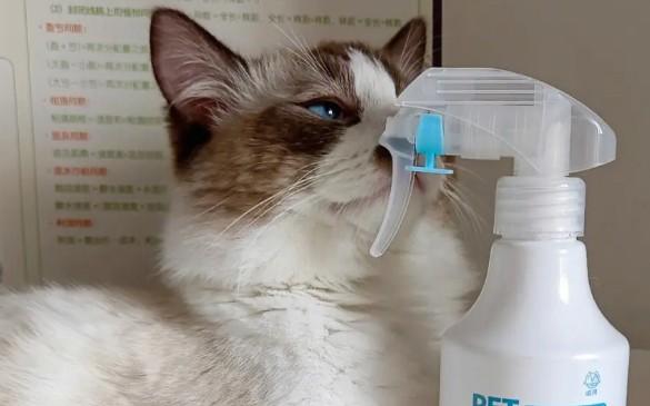 为什么驱虫剂不能用猫狗狗呢