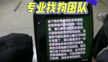专业寻狗团队怎么收费-图1