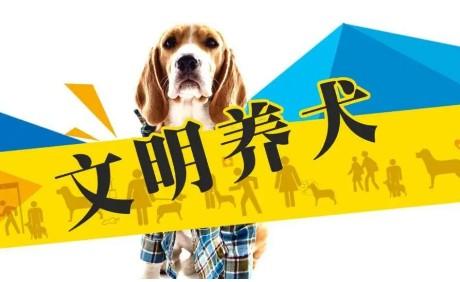 上海养狗法律法规2023-图1